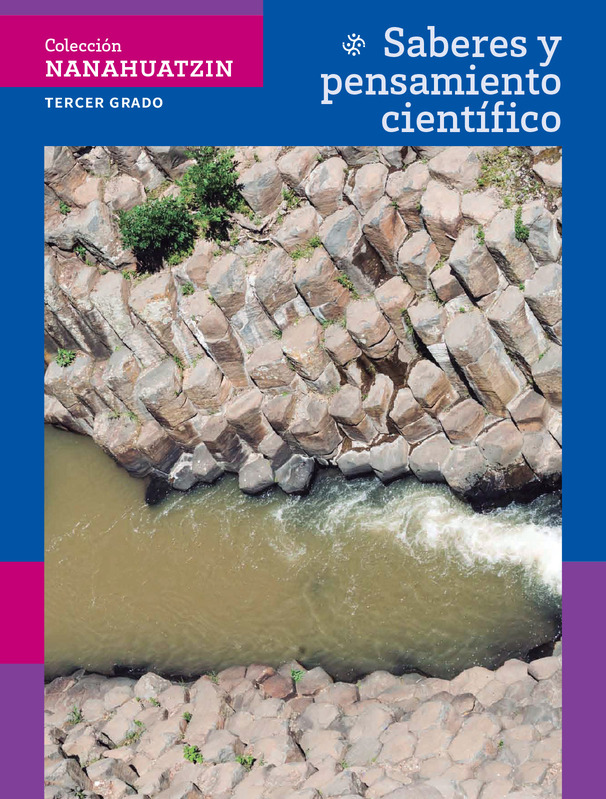 Saberes y Pensamiento Científico