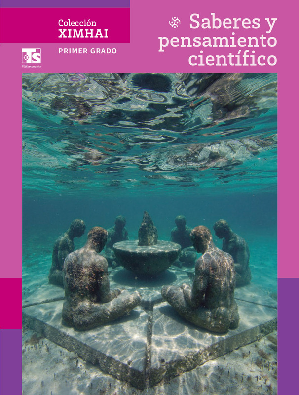 Saberes y Pensamiento Científico